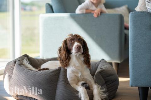 Die Couch im Luxusferienhaus Nr. 696 in Fünen und seine Inseln lädt zu Gesellschaftsspielen oder zu Kinoabenden ein.