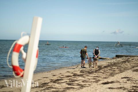 Der herrliche Strand in der Nähe von Luxusferienhaus Nr. 696 bei Fünen und seine Inseln.