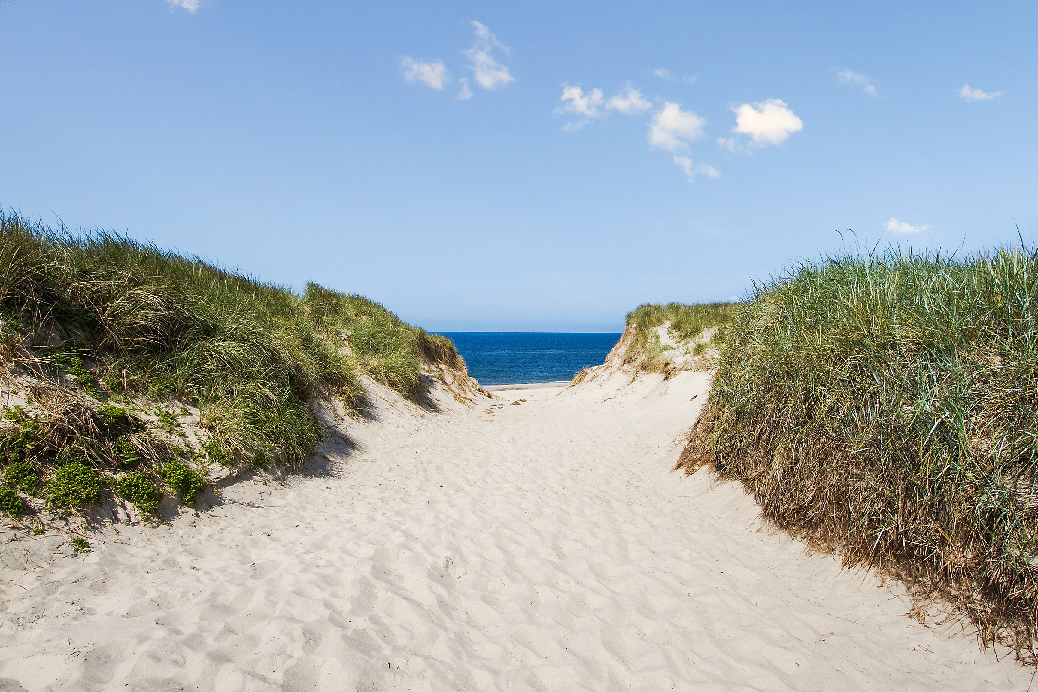 Der herrliche Strand in der Nähe von Luxusferienhaus Nr. 900 bei Westjütland.
