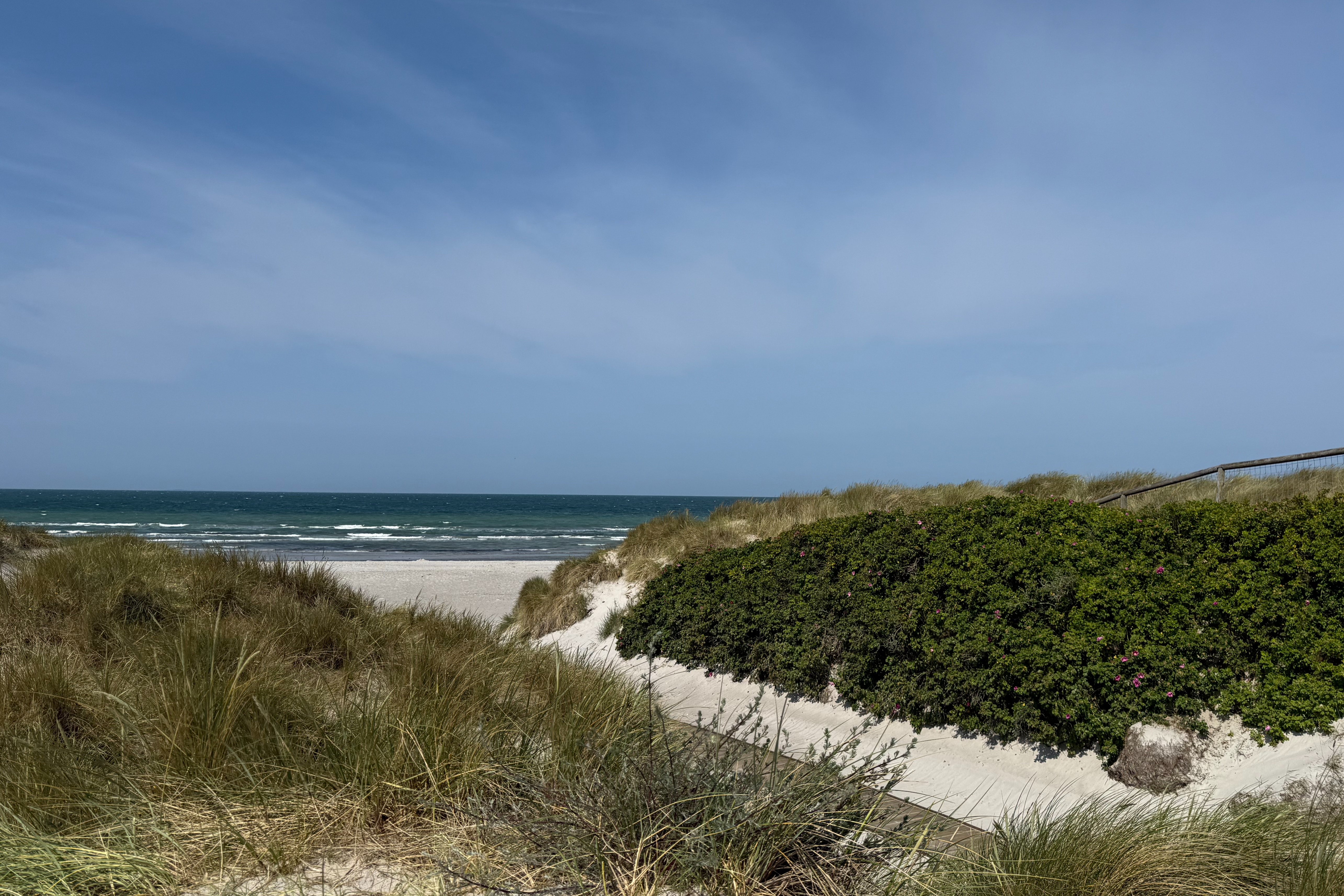 Der herrliche Strand in der Nähe von Luxusferienhaus Nr. 911 bei Lolland/Falster/Mön.