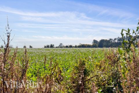 Das wunderschöne Gebiet Fünen und seine Inseln lädt zu einem Aufenthalt in Luxusferienhaus Nr. 617 ein.