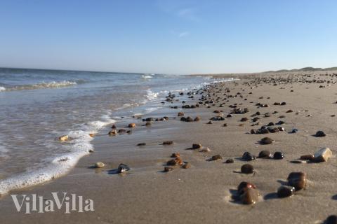 Der Strand in der Nähe von Luxusferienhaus Nr. 902.