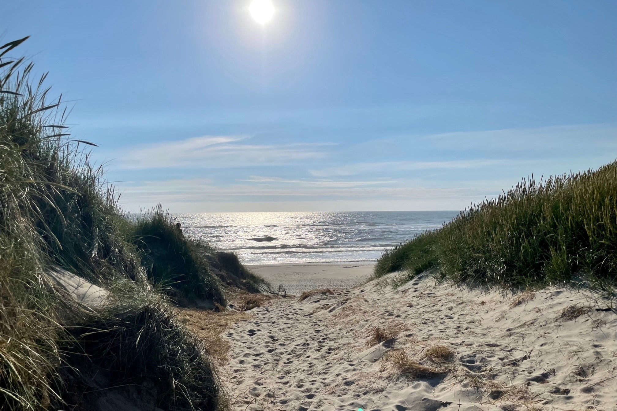 Der Strand in der Nähe von Luxusferienhaus Nr. 918.