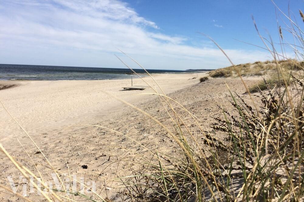 Der herrliche Strand in der Nähe von Luxusferienhaus Nr. 351 bei Nordseeland.