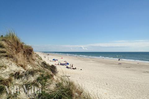 Der Strand in der Nähe von Luxusferienhaus Nr. 273.