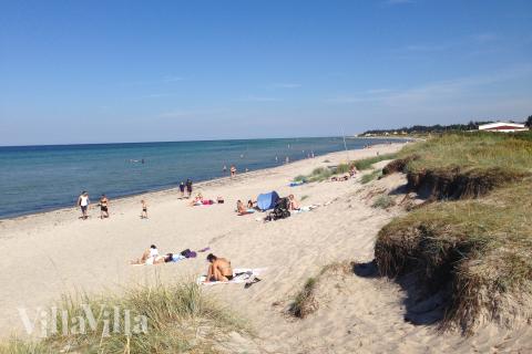Der Strand in der Nähe von Luxusferienhaus Nr. 946.