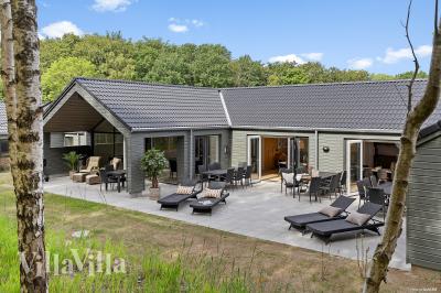 Dieses schöne Poolhaus Nr. 828 mit Platz für 26 Personen liegt in Ostjütland