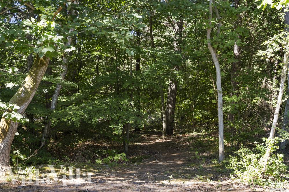 Machen Sie Urlaub im Luxusferienhaus Nr. 987 in Bornholm.