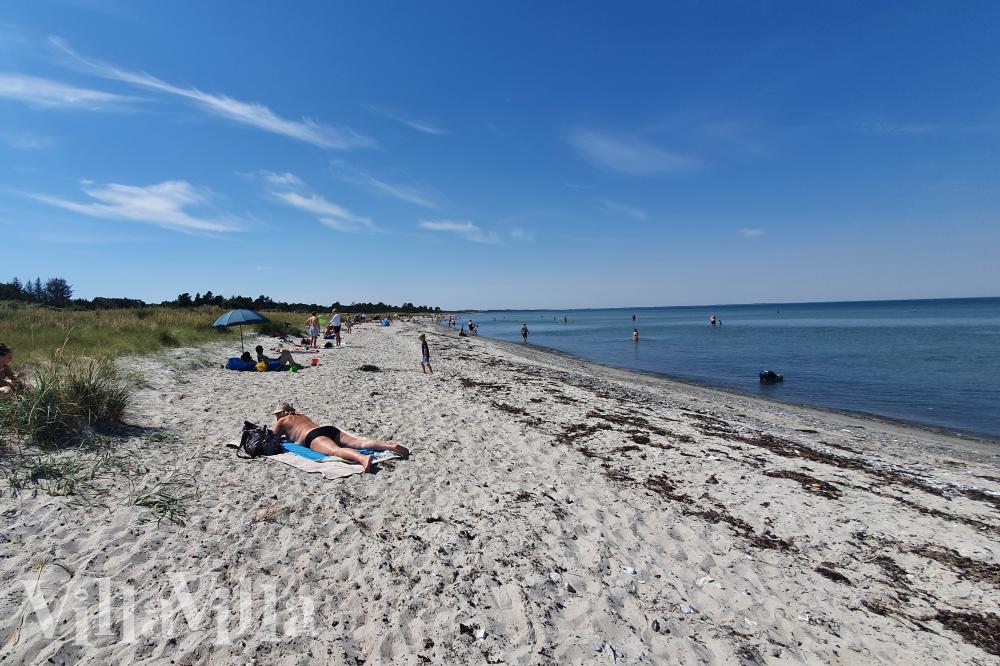 Der Strand in der Nähe von Luxusferienhaus Nr. 1014.