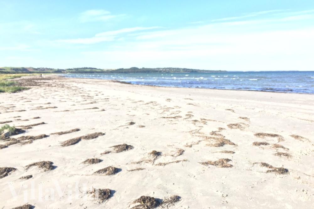 Der herrliche Strand in der Nähe von Luxusferienhaus Nr. 997 bei Nordseeland.